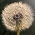 Temple Balsall (@templebalsall) Twitter profile photo Temple Balsall (@templebalsall) Twitter profile photo