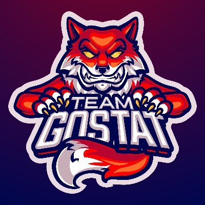 GoStat_FR Profile Picture