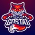 GOSTAT.FR 🦊🔞 (@GoStat_FR) Twitter profile photo