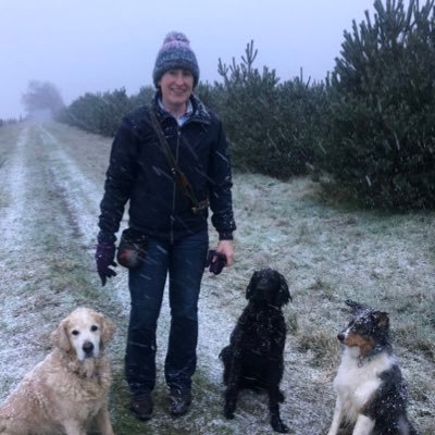 Teaching Professor, Equine Studies, University of Cambridge | Specialist, Equine Internal Medicine | MSc Clinical Oncology | Run a stupidly long way for fun