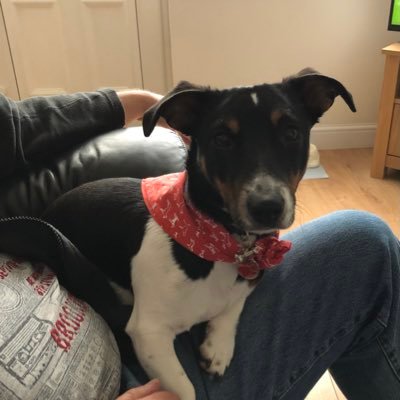 RuthRadmed30's profile picture. 