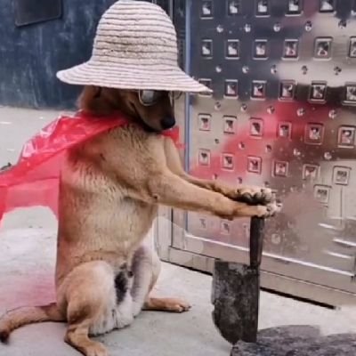 panguiming's profile picture. 