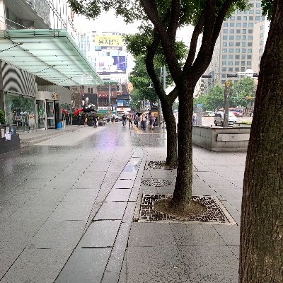 TheSoftwarer's profile picture. Rapidly evolving human being..