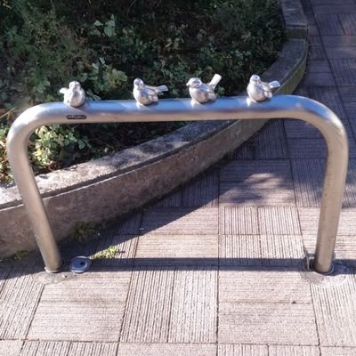 livelovesun0410's profile picture. 