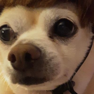 natttyleblanc's profile picture. 