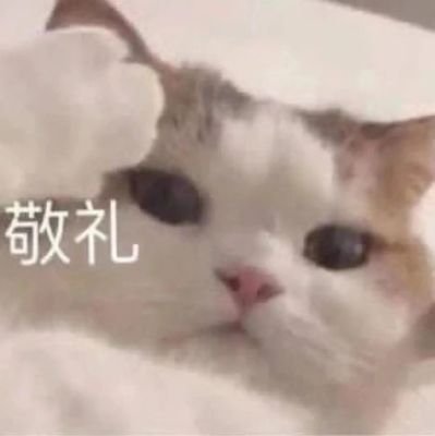 NicoleH48271782's profile picture. 纯粹是来吃饭的