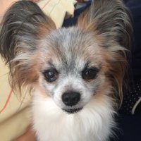 ズキ (@zukizukikururi) Twitter profile photo