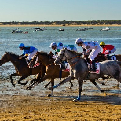 https://t.co/JtRv0DcUZg…

Horse racing fan from Spain

Tips in:

https://t.co/JtRv0DcUZg…

https://t.co/7tejB9sr0k…

https://t.co/zl5ojYOIfi