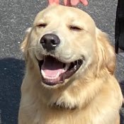 Morgan Micallef Profile