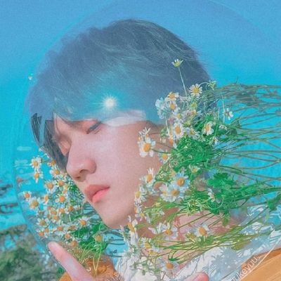 IBbyies's profile picture. Jeonghan, Mingyu, Wonwoo, Jun, Joshua and 8 Others !✨ 
SEVENTEEN