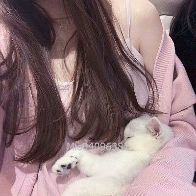 Mio04096382's profile picture. 