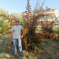 yüksel eşiyok🌱🌲 (@yukselesiyok) Twitter profile photo