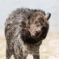 George (@george83554566) 's Twitter Profile