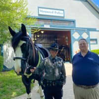 Alan Watts (@awattsalan) 's Twitter Profile Photo