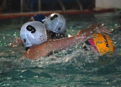 willysabba's profile picture. 