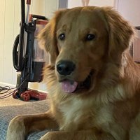 Chace Ellis (@ellischace) 's Twitter Profile