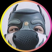 Pup Trevor🏳️‍🌈 (@trevor_pup) 's Twitter Profile