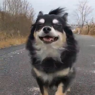 🐿さんのプロフィール画像