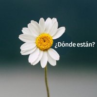 Martin Leibner (@tindice) 's Twitter Profile