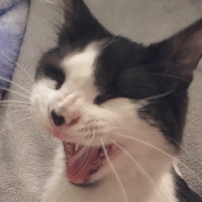 Cauchemari's profile picture. 19 • taken ;) • MAWI