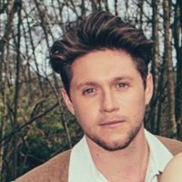 🇭🇺Hungarian Niall Stans🇭🇺 (@niallcometohun) 's Twitter Profile