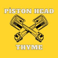 Piston Head Thyme 🇹🇷 (@pistonheadthyme) 's Twitter Profile