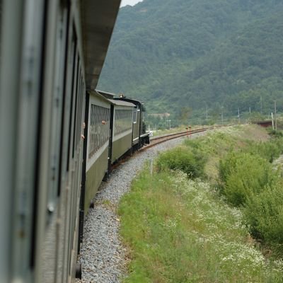 Moldova00's profile picture. 나라이름 아님. 어두운 터널에 한 줄기 빛. Vivere!!!