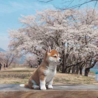 Pooky_R's profile picture. Do it!!!