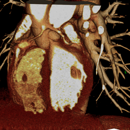 medical information and latest publications