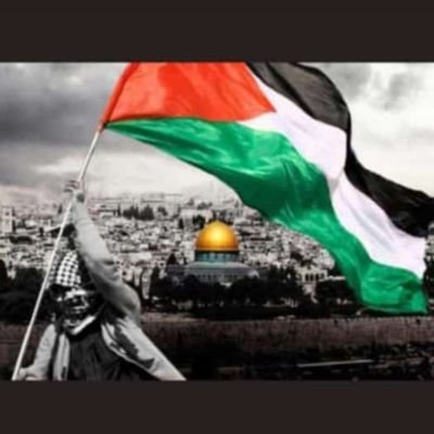 AlsadiMuad's profile picture. |اللهم اجعلني ممن يقاوم ما يحب ويتحمل ما يكره 🤲|
🎓SQU | College of Science | Math🎓