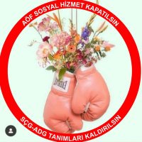 Ayşegül Bayram (@aaysegulbayram) 's Twitter Profile
