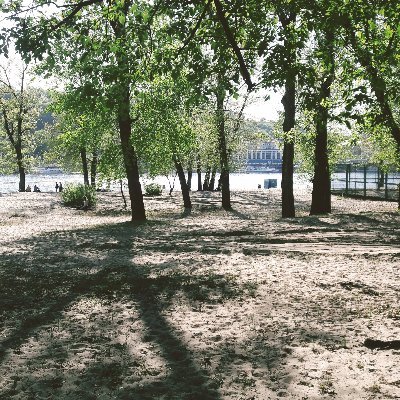 Onur44855101's profile picture. 