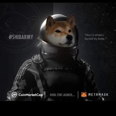 Shiba_Army Indonesia