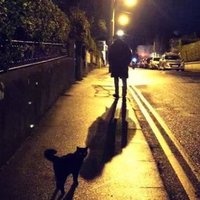 Gary Grace (@ggrace1984) 's Twitter Profile Photo Gary Grace (@ggrace1984) 's Twitter Profile Photo