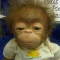 CryptoCritter5000 (@blanco5000) 's Twitter Profile