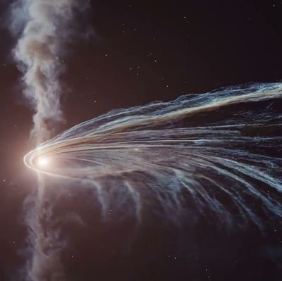 thlcne's profile picture. Just a free (and educated) mind