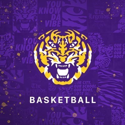 CsbaLSU's profile picture. Page of LSU CSBA Basketball Team