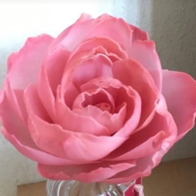 ちぃちさんのプロフィール画像