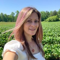 Lisa M. Comento (@lisacomento) 's Twitter Profile