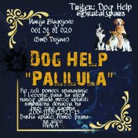 DOG HELP-er ,,Palilula''(@BrutalPaws) 's Twitter Profile Photo