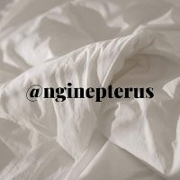 nginepterus (@nginepterus) 's Twitter Profile