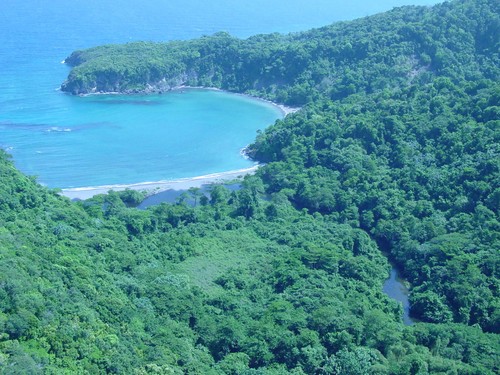 bamboojamaica's profile picture. 