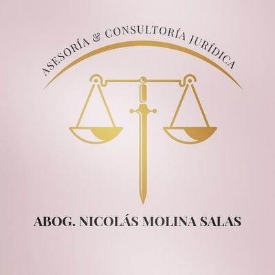 Abogado litigante. Derecho Penal y Público.