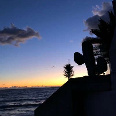 saru39s's profile picture. 湘南88回/プログラミング勉強します／看護師(オペ部門3年目)離脱2021.7「某D」オンライン講座／Salesforce習得したいです／