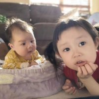 Liping Zhao (@gutzhao) 's Twitter Profile