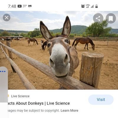 Walter73173089's profile picture. 