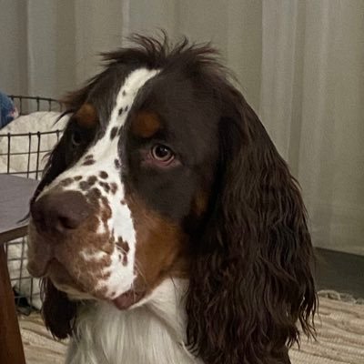 heykensley's profile picture. 