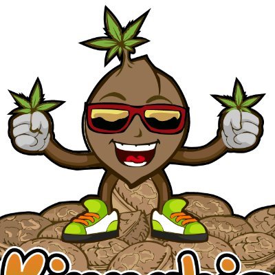 Kinnabis420's profile picture. 🌱 1,000+ cannabis strains 🔥 Breeder-backed genetics 📦 Fast, discreet U.S. shipping 🎁 Monthly seed giveaways 👊 Built for real growers | https://t.co/iTFM6O5weL