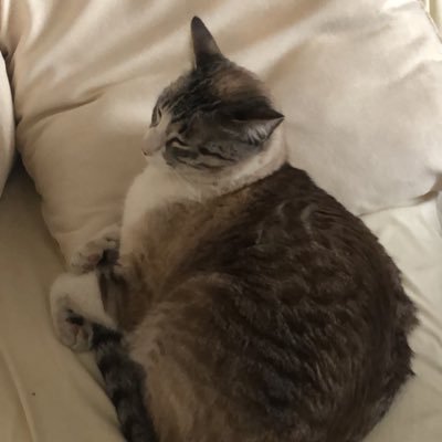 masor3457's profile picture. ė