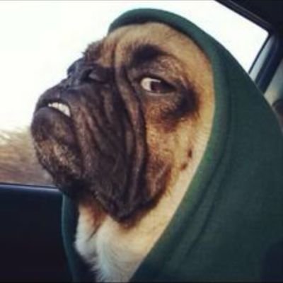 All the glory goes to God.
I just want to laugh.
Her/she. Marriedt. #doge
Black lives matter all day every day.
$LidLuv